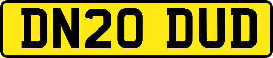 DN20DUD