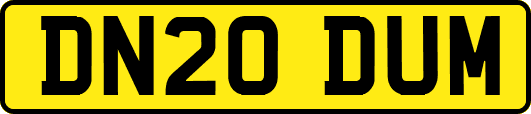 DN20DUM