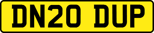 DN20DUP