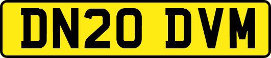 DN20DVM