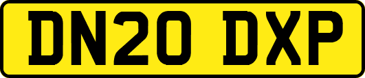 DN20DXP