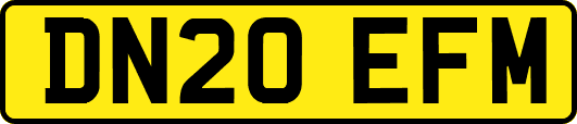 DN20EFM