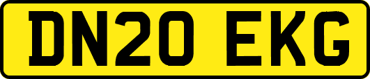DN20EKG