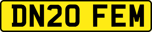 DN20FEM
