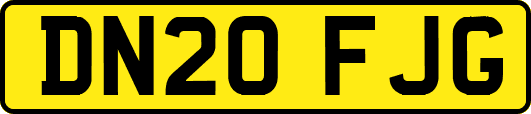 DN20FJG