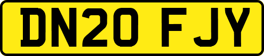 DN20FJY