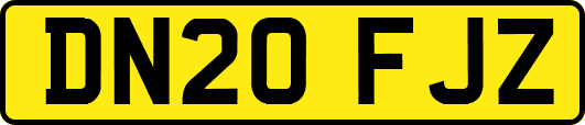 DN20FJZ