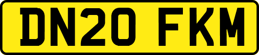 DN20FKM