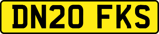 DN20FKS