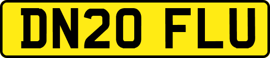 DN20FLU