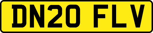 DN20FLV