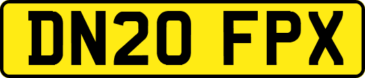 DN20FPX