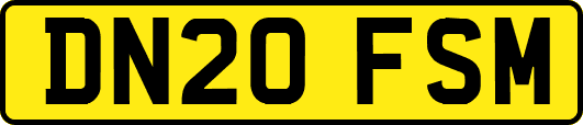 DN20FSM