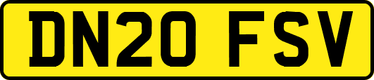 DN20FSV