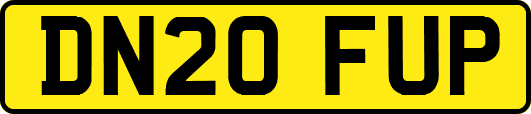 DN20FUP
