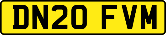 DN20FVM