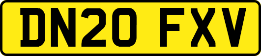 DN20FXV