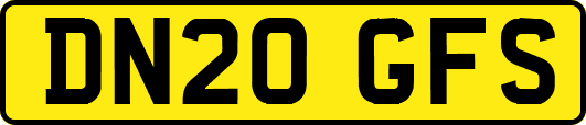 DN20GFS