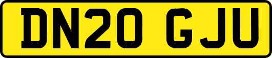 DN20GJU
