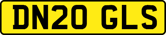 DN20GLS
