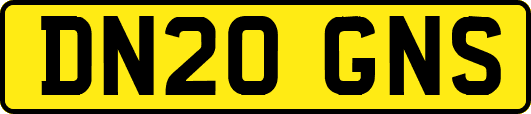 DN20GNS