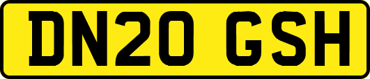 DN20GSH