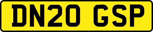 DN20GSP