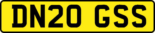 DN20GSS