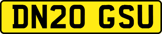 DN20GSU