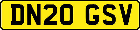 DN20GSV