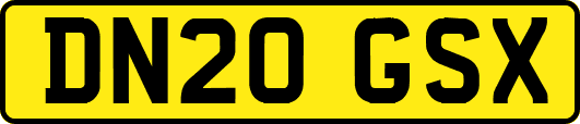 DN20GSX