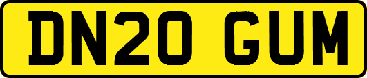 DN20GUM