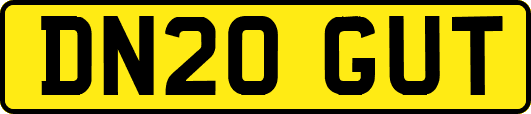 DN20GUT