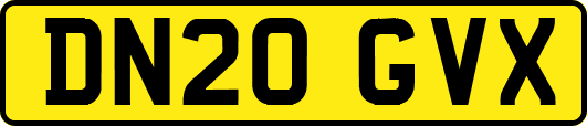 DN20GVX