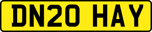 DN20HAY