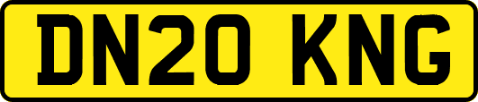 DN20KNG