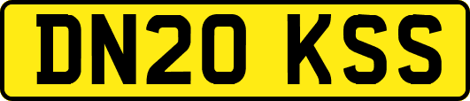 DN20KSS