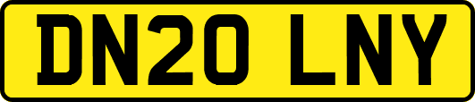 DN20LNY