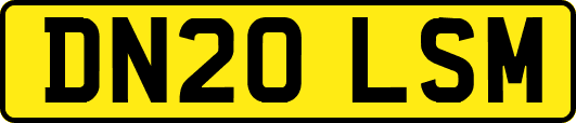 DN20LSM