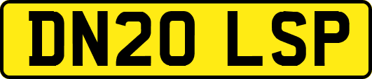 DN20LSP