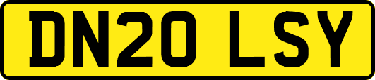 DN20LSY