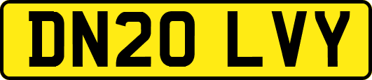DN20LVY