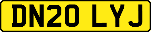 DN20LYJ