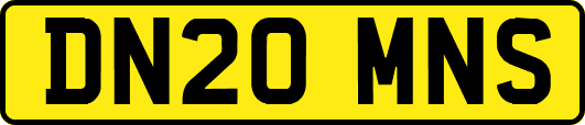 DN20MNS