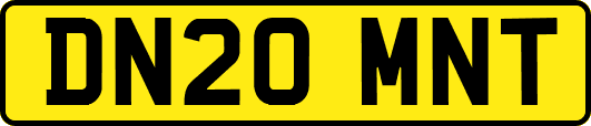 DN20MNT