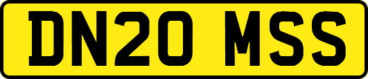 DN20MSS