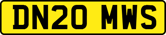 DN20MWS