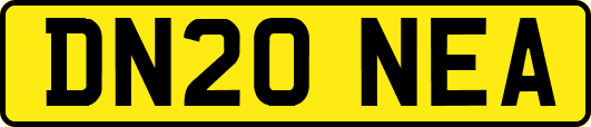 DN20NEA