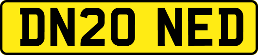 DN20NED