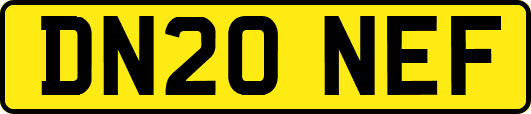 DN20NEF